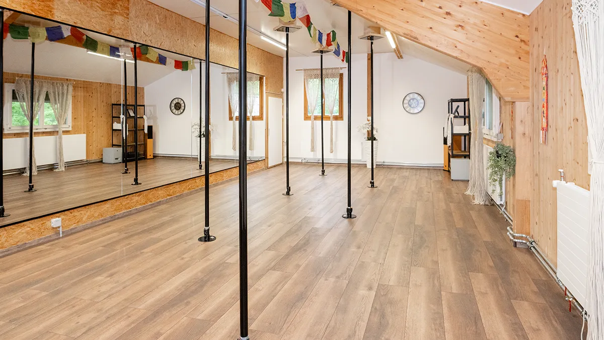 Poledance Studio Zug Ägerital